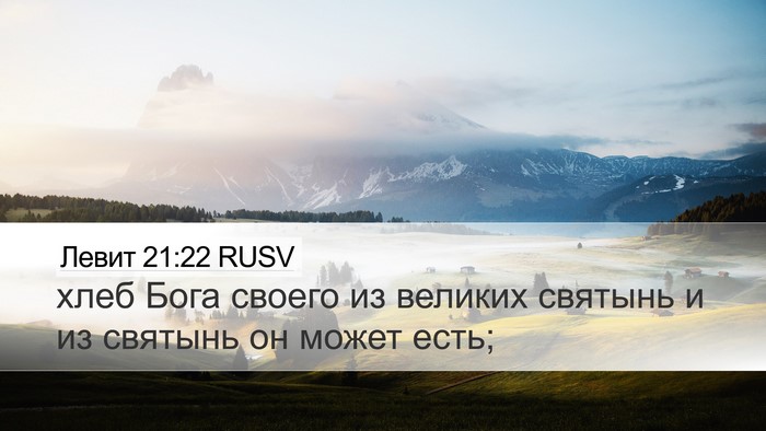 Левит 21:22 RUSV Bible Verse Image