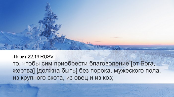 Левит 22:19 RUSV Bible Verse Image