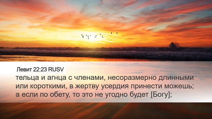 Левит 22:23 RUSV Bible Verse Image