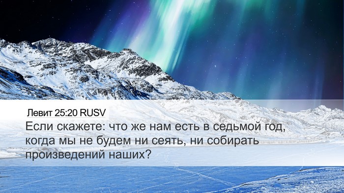 Левит 25:20 RUSV Bible Verse Image