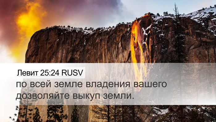 Левит 25:24 RUSV Bible Verse Image