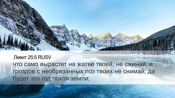 Левит 25:5 RUSV Desktop Wallpaper - что само вырастет на жатве - Desktop Bible Verse Wallpaper