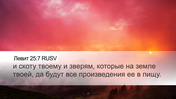 Левит 25:7 RUSV Desktop Wallpaper - и скоту твоему и зверям, - Desktop Bible Verse Wallpaper