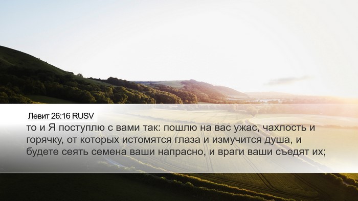 Левит 26:16 RUSV Bible Verse Image