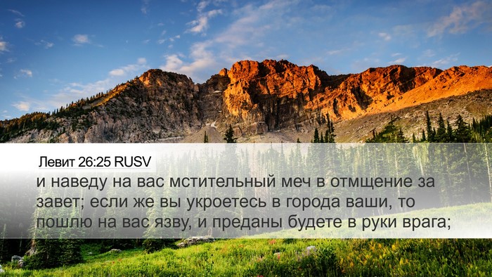 Левит 26:25 RUSV Bible Verse Image