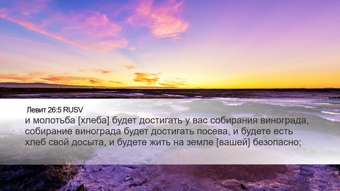 Левит 26:5 RUSV Bible Verse Image
