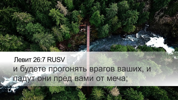 Левит 26:7 RUSV Desktop Wallpaper - и будете прогонять врагов - Desktop Bible Verse Wallpaper