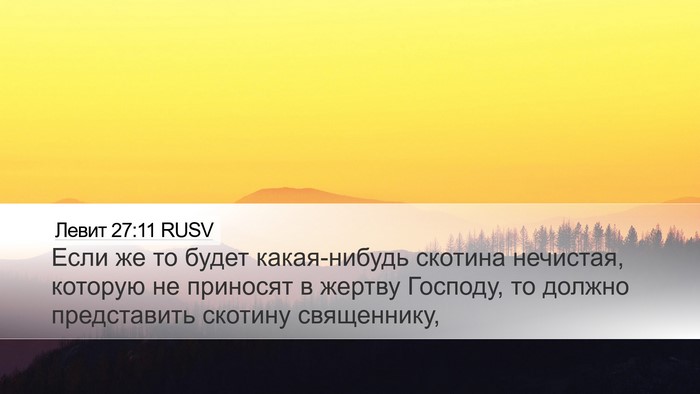 Левит 27:11 RUSV Desktop Wallpaper - Если же то будет - Desktop Bible Verse Wallpaper