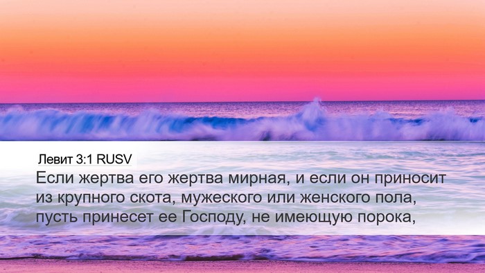 Левит 3:1 RUSV Bible Verse Image