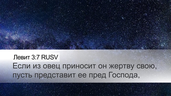 Левит 3:7 RUSV Desktop Wallpaper - Если из овец приносит он - Desktop Bible Verse Wallpaper