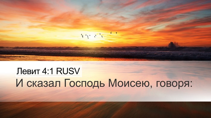 Левит 4:1 RUSV Desktop Wallpaper - И сказал Господь Моисею, - Desktop Bible Verse Wallpaper