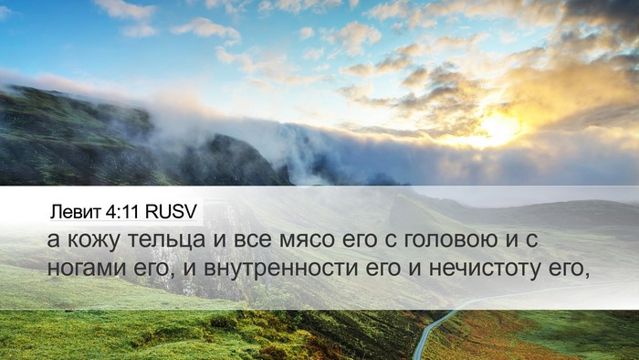 Левит 4:11 RUSV Bible Verse Image