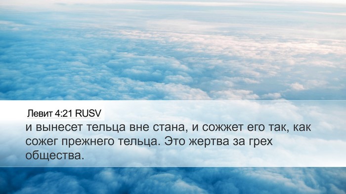Левит 4:21 RUSV Bible Verse Image