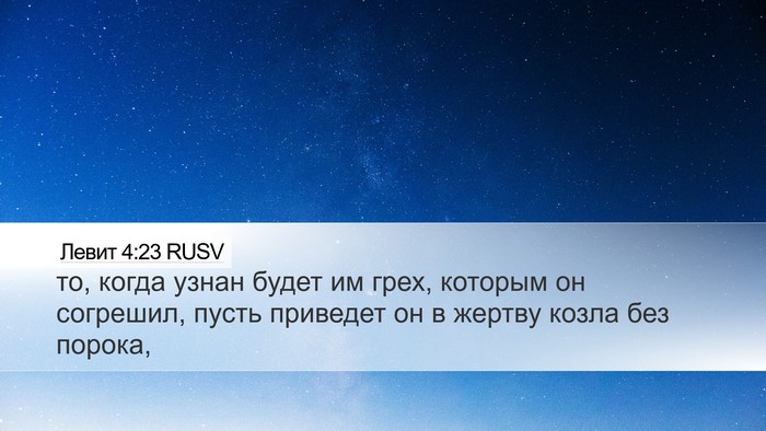 Левит 4:23 RUSV Bible Verse Image