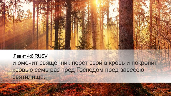 Левит 4:6 RUSV Bible Verse Image