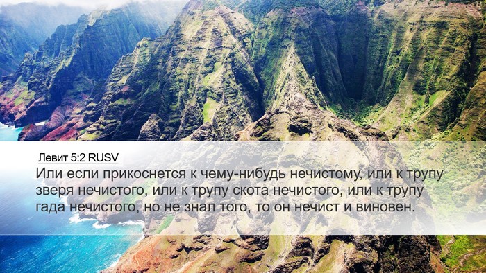 Левит 5:2 RUSV Bible Verse Image