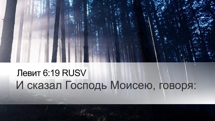 Левит 6:19 RUSV Bible Verse Image