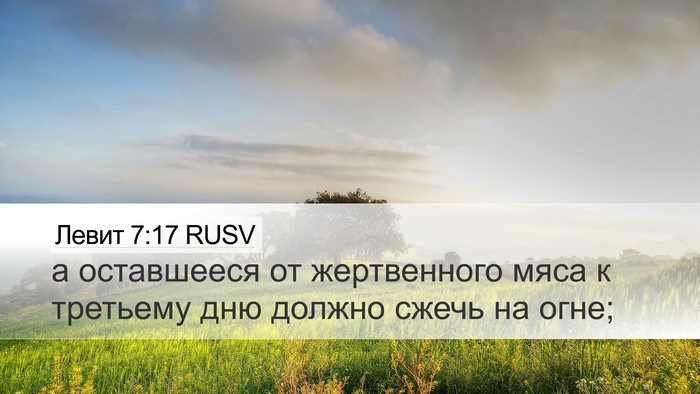 Левит 7:17 RUSV Bible Verse Image