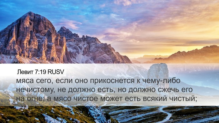 Левит 7:19 RUSV Bible Verse Image