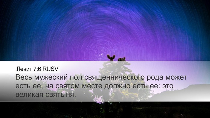Левит 7:6 RUSV Bible Verse Image