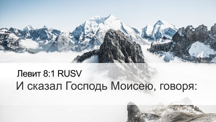 Левит 8:1 RUSV Bible Verse Image
