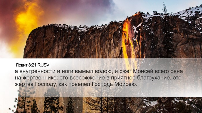 Левит 8:21 RUSV Desktop Wallpaper - а внутренности и ноги - Desktop Bible Verse Wallpaper