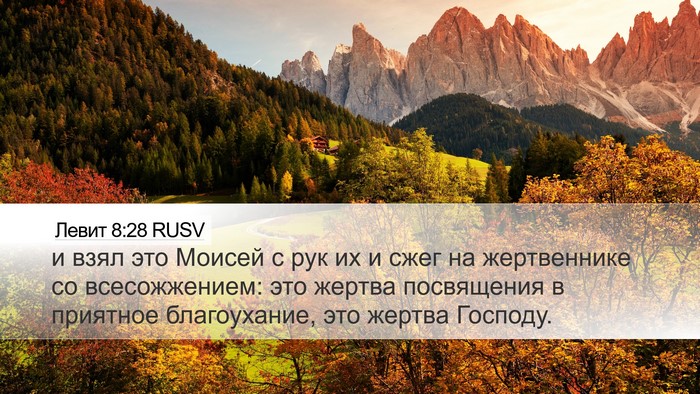 Левит 8:28 RUSV Desktop Wallpaper - и взял это Моисей с рук их и - Desktop Bible Verse Wallpaper
