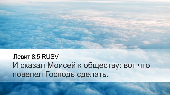 Левит 8:5 RUSV Desktop Wallpaper - И сказал Моисей к обществу: - Desktop Bible Verse Wallpaper
