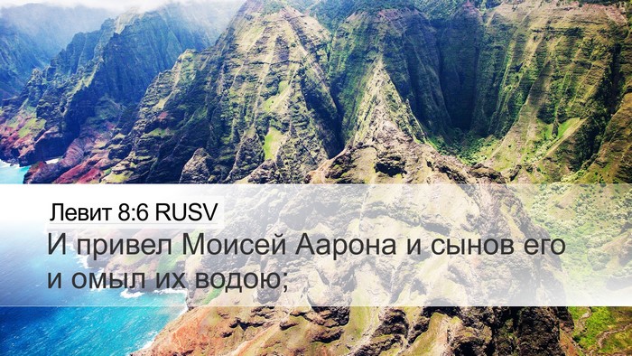 Левит 8:6 RUSV Bible Verse Image