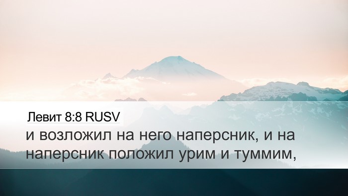 Левит 8:8 RUSV Bible Verse Image