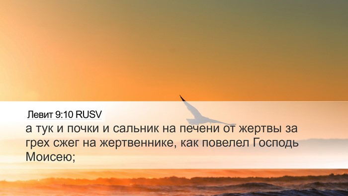 Левит 9:10 RUSV Bible Verse Image