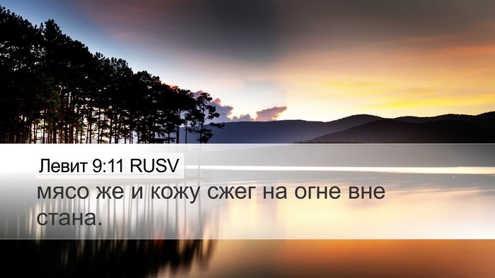 Левит 9:11 RUSV Desktop Wallpaper - мясо же и кожу сжег на огне - Desktop Bible Verse Wallpaper