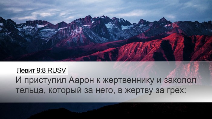 Левит 9:8 RUSV Bible Verse Image