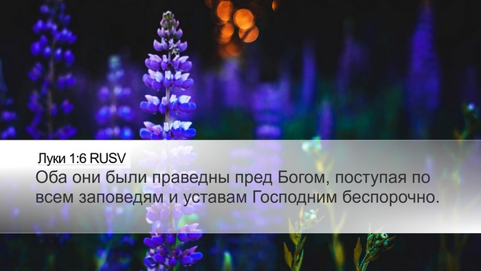 Луки 1:6 RUSV Bible Verse Image