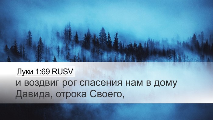 Луки 1:69 RUSV Bible Verse Image