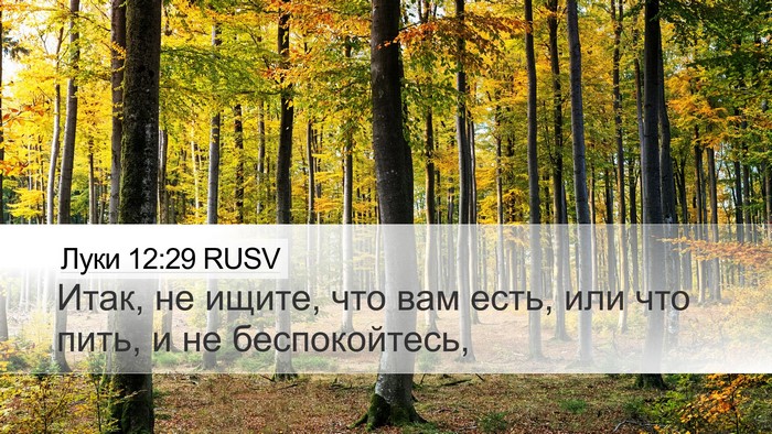 Луки 12:29 RUSV Bible Verse Image