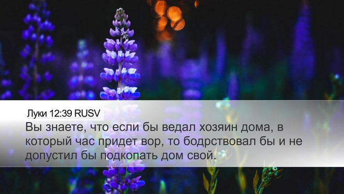 Луки 12:39 RUSV Desktop Wallpaper - Вы знаете, что если бы - Desktop Bible Verse Wallpaper