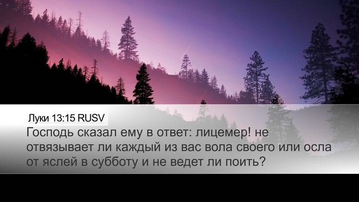 Луки 13:15 RUSV Bible Verse Image
