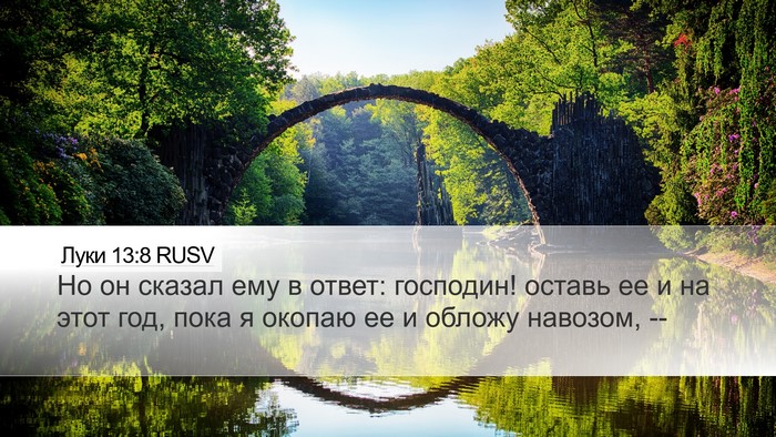 Луки 13:8 RUSV Bible Verse Image