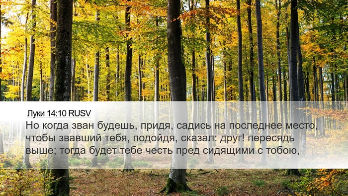 Луки 14:10 RUSV Bible Verse Image