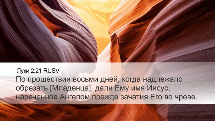 Луки 2:21 RUSV Bible Verse Image