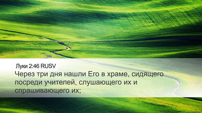 Луки 2:46 RUSV Bible Verse Image