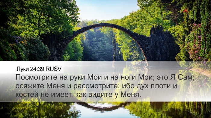 Луки 24:39 RUSV Bible Verse Image