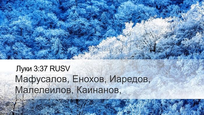 Луки 3:37 RUSV Desktop Wallpaper - Мафусалов, Енохов, Иаредов, - Desktop Bible Verse Wallpaper