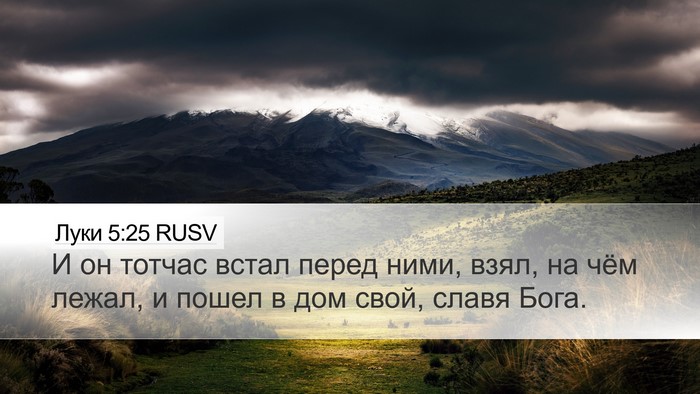 Луки 5:25 RUSV Bible Verse Image