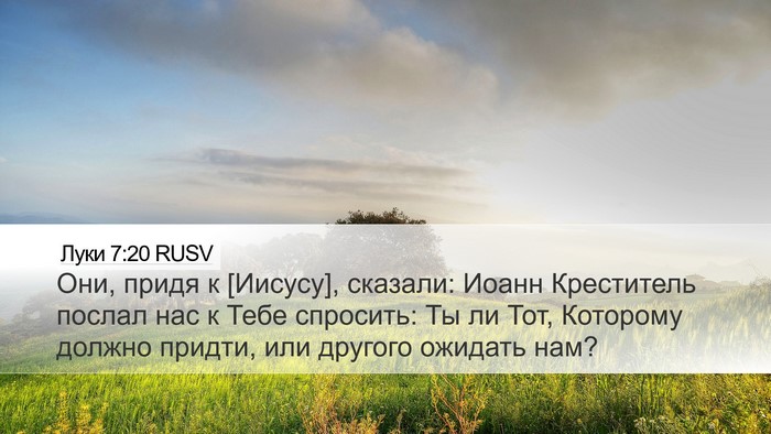 Луки 7:20 RUSV Bible Verse Image