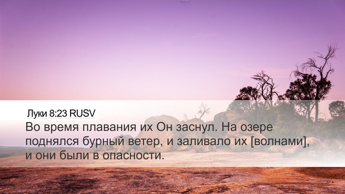 Луки 8:23 RUSV Bible Verse Image