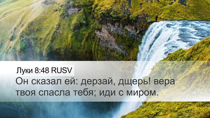 Луки 8:48 RUSV Bible Verse Image