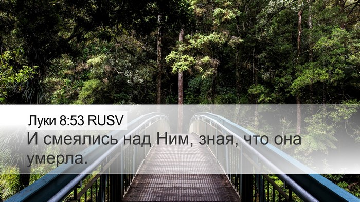 Луки 8:53 RUSV Bible Verse Image