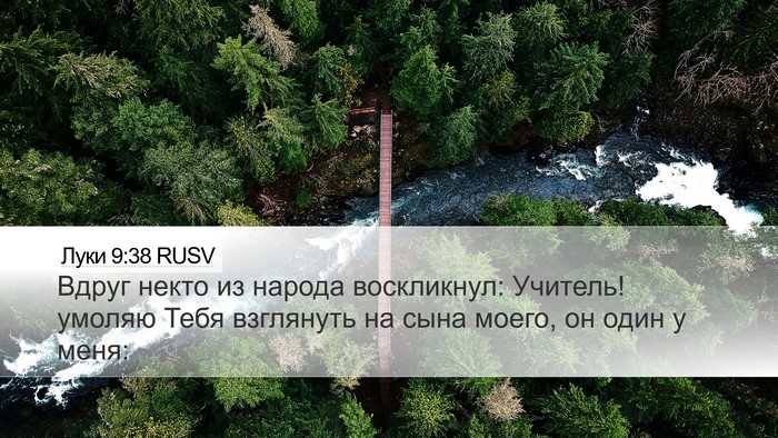 Луки 9:38 RUSV Bible Verse Image